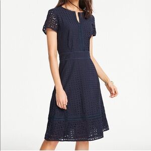 NWT Ann Taylor Blue Eyelet Dress Tall Size